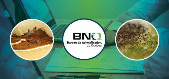 BNQ standards training