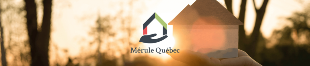 Au-delà des murs : l’impact humain et social de la mérule pleureuse  