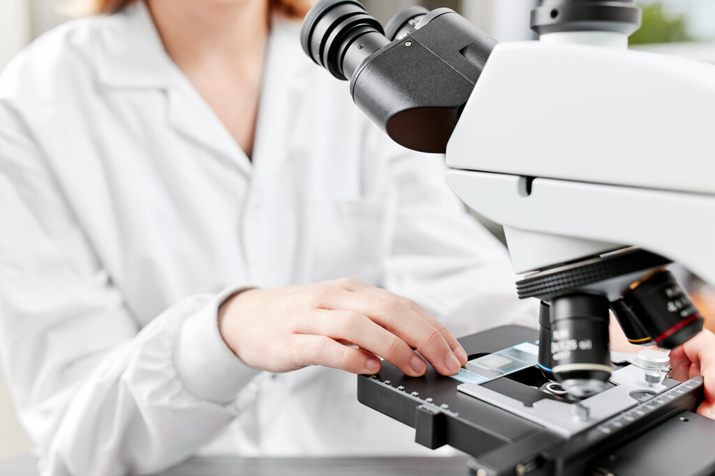 Observation d’un échantillon au microscope