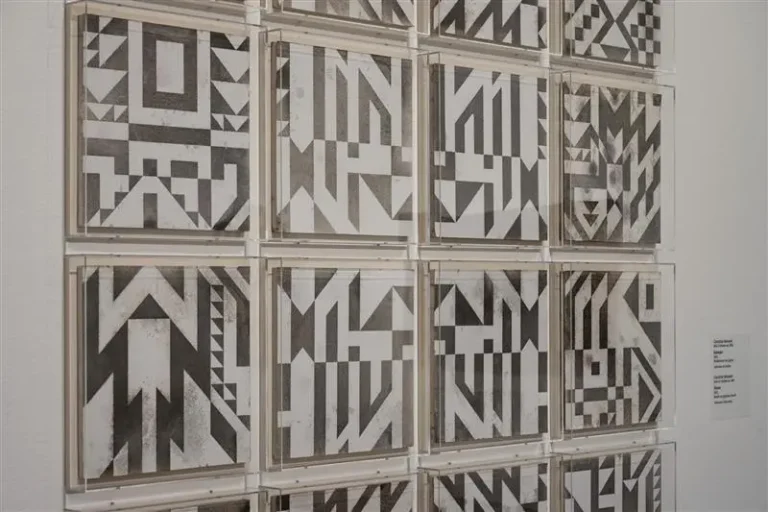 Quand la science rencontre l’art : nos collaborations avec Caroline Monnet